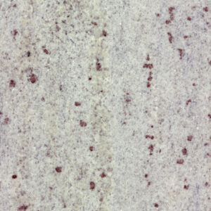 Kashmire White gránit burkolólap – 60×60×1,2 cm 11 Kashmire White gránit burkolólap – 60×60×1,2 cm