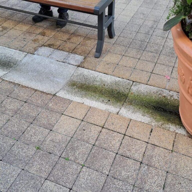 Mohás és algás szennyeződés kültéri térburkolaton virágedény mellett